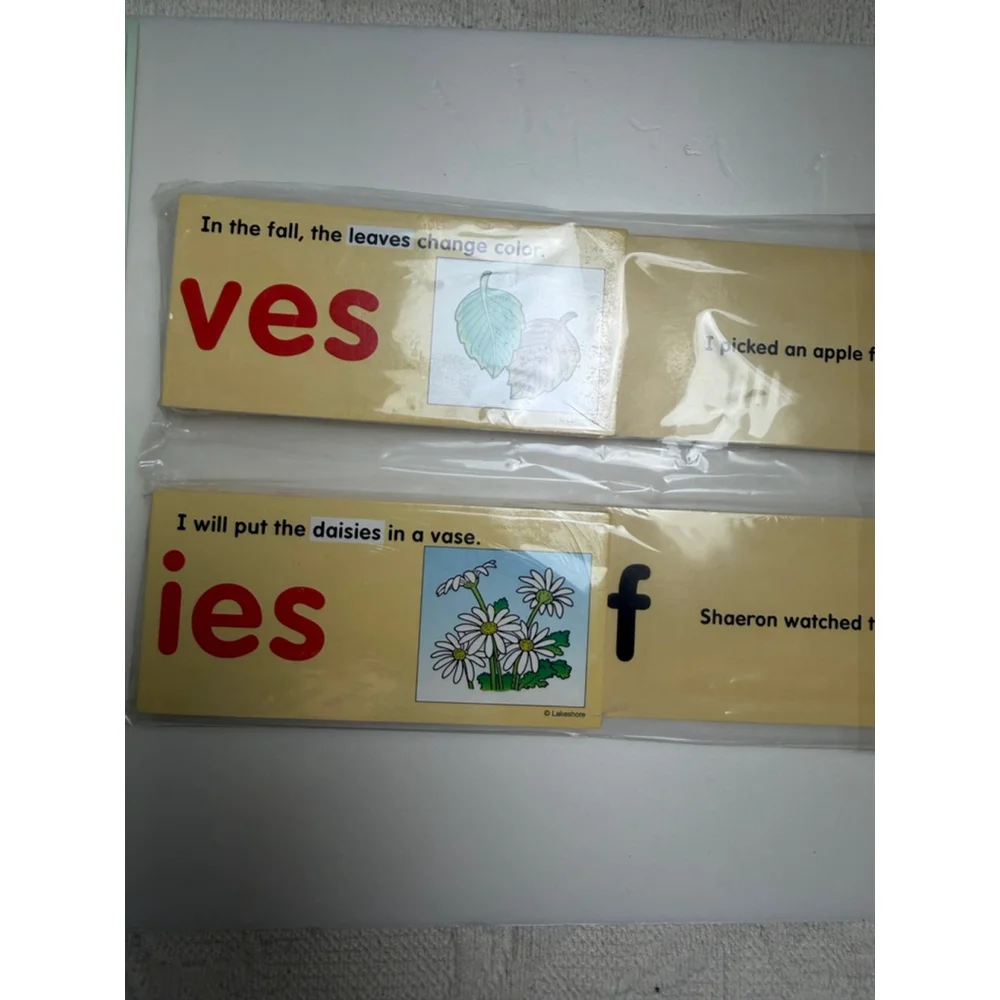Lakeshore Learning vowel and sight words strips